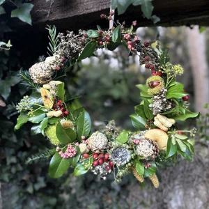 Bird Feeder Wreath