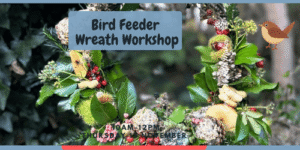 Festive Wreath Bird Feeder